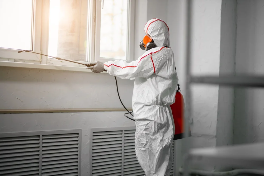 Professional mold remediation services in Bellaire, TX